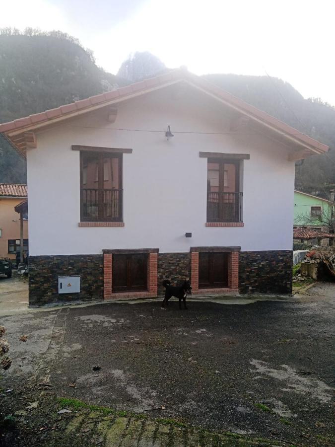Casa Rural Gueilones, Parque Natural De Ponga Sobrefoz Exterior foto